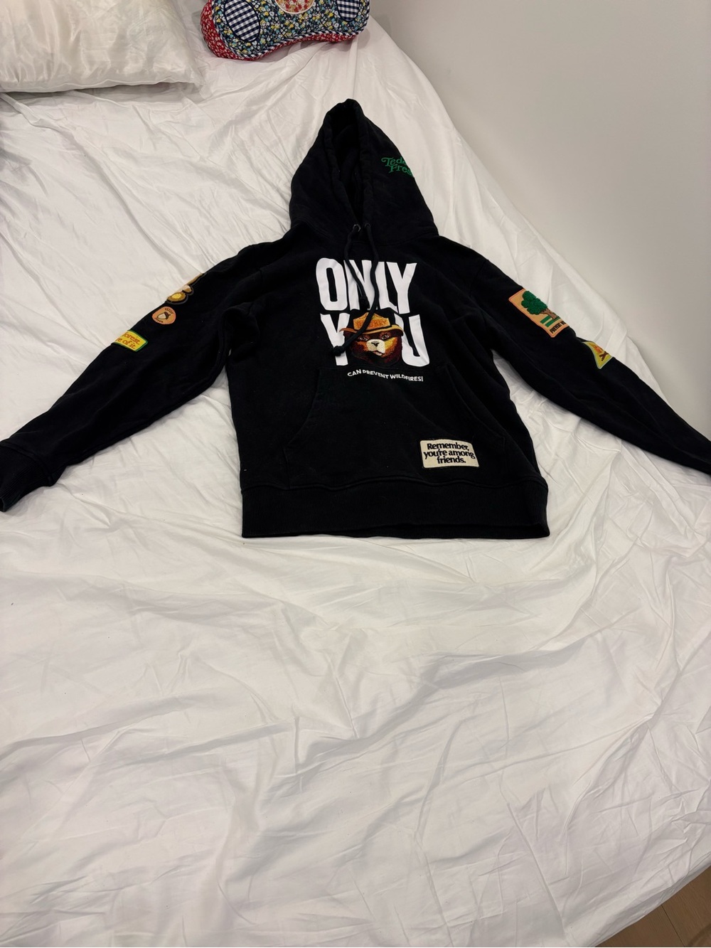 Teddy Fresh Black x Smokey the Bear collab hoodie